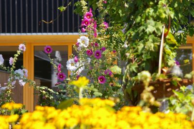 Elzwiesen Kindergarten_Außengelände Garten mit Blumen-2.JPG