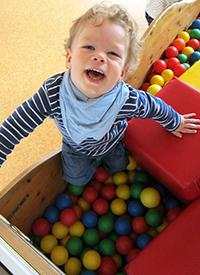 kindertageseinrichtungen junikäfer